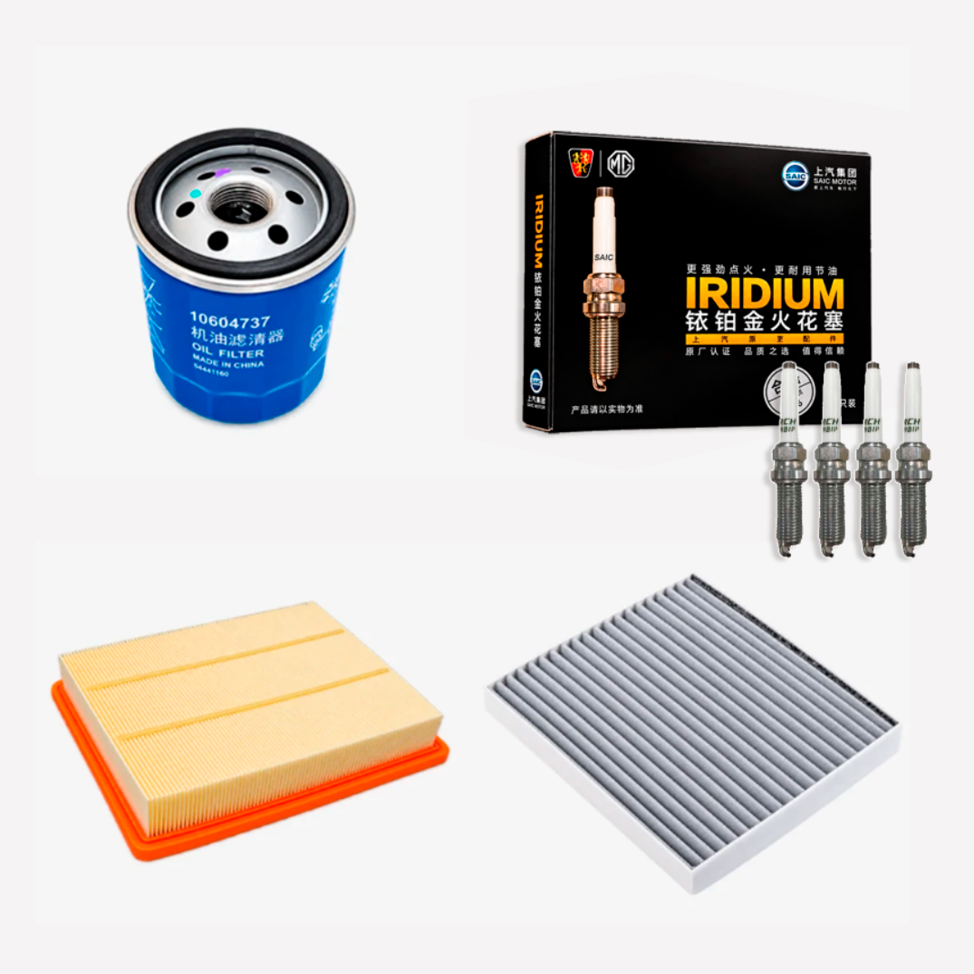 Kit de filtros y bujias iridio