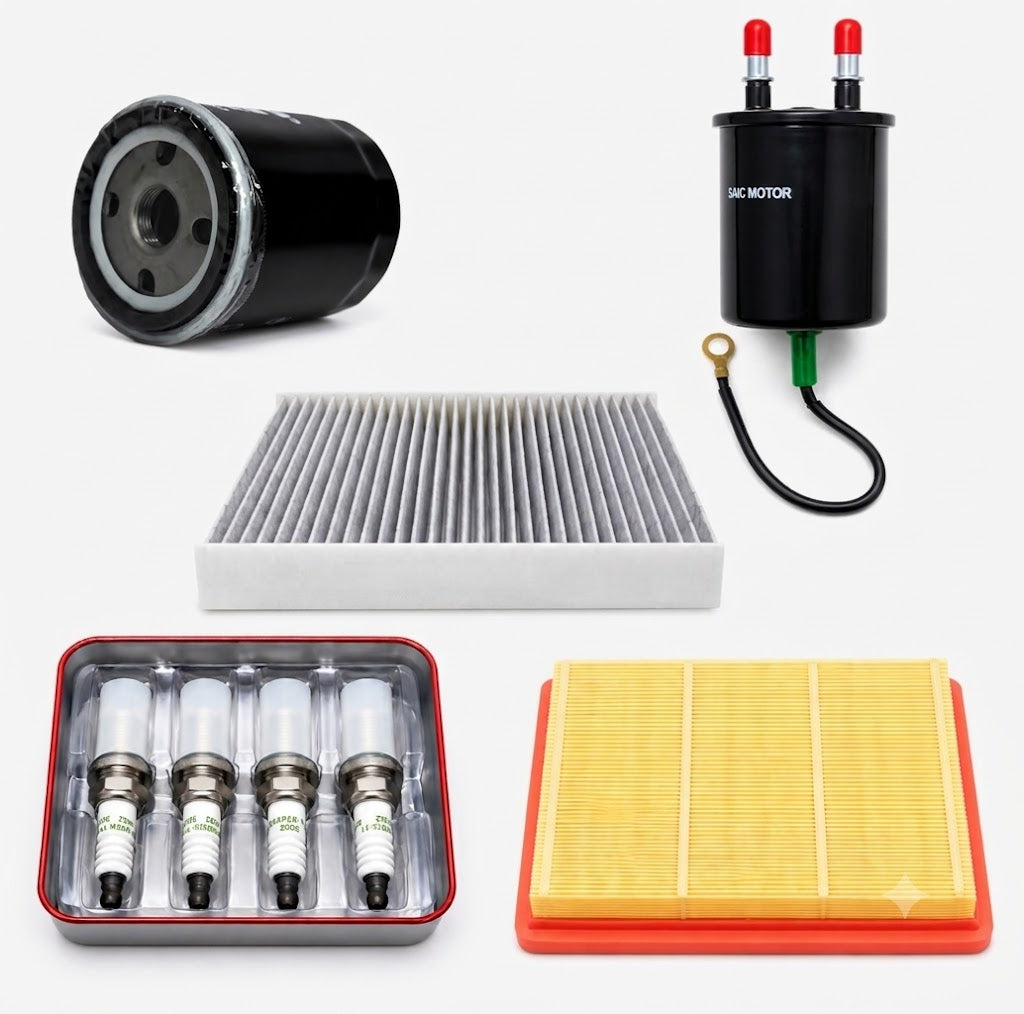 Kit de filtros y bujias MG5